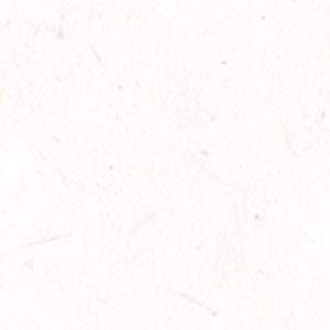 Meet your Posher, Isabella